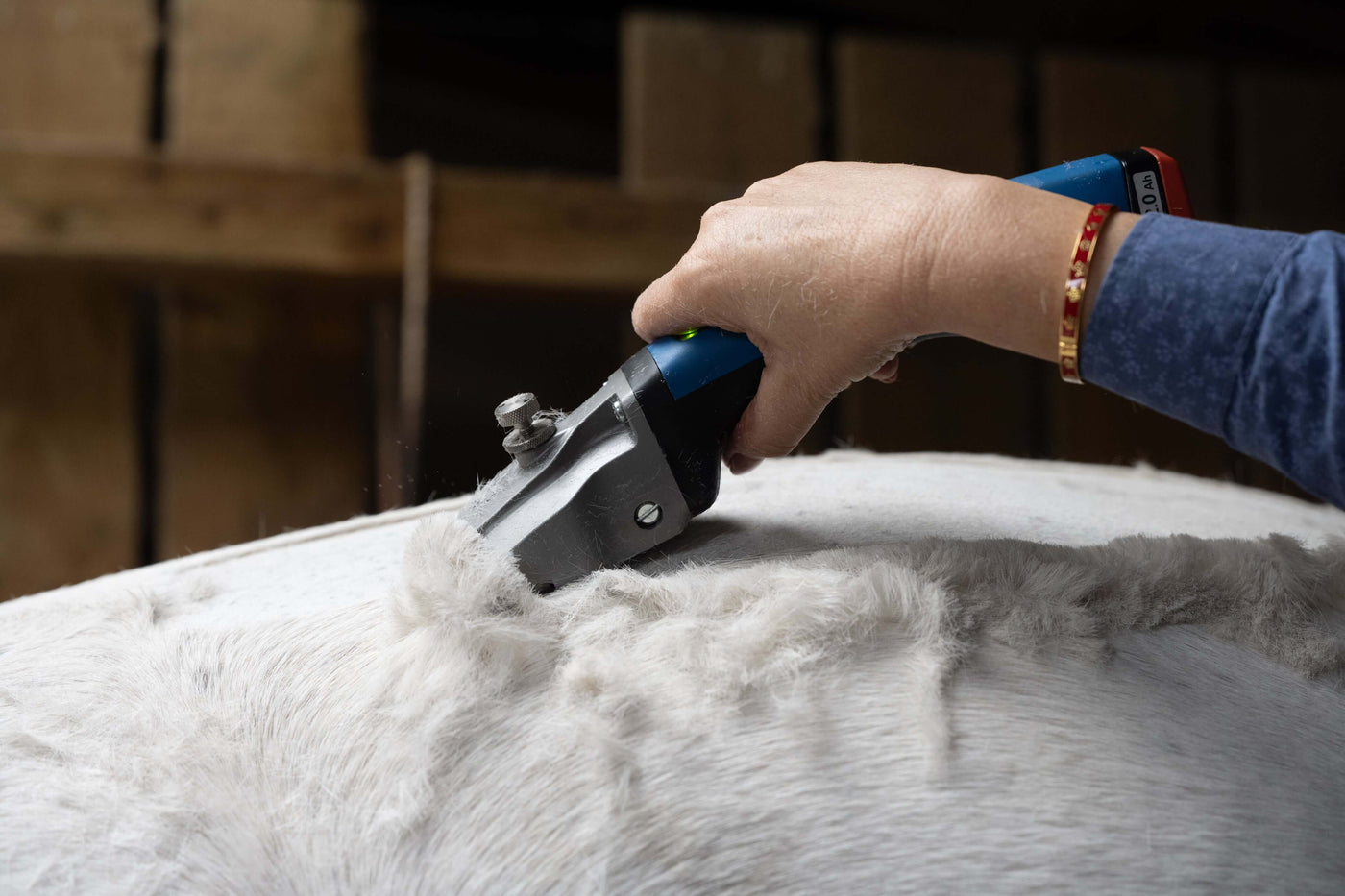 The Best Horse Clippers for Horses and Ponies with Cushings