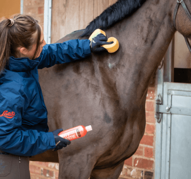 Lister: Alan Davies’ Expert Guide for Perfect Horse Clipping