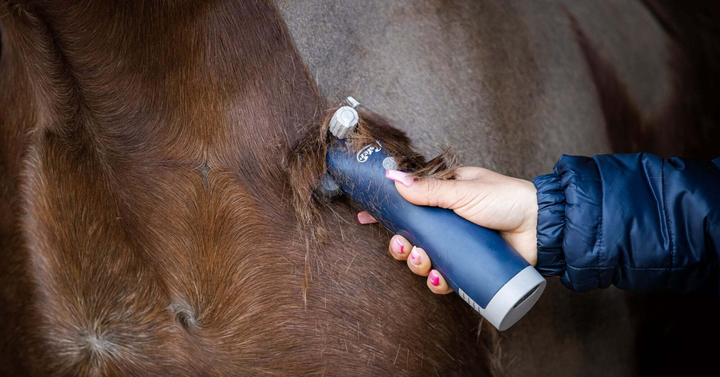 The Best Re-Chargeable Cordless Horse Clippers