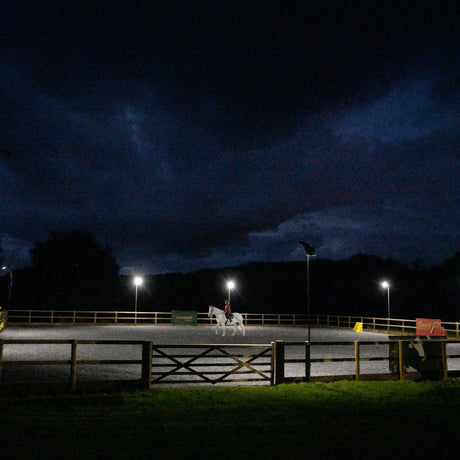 Solar Lighting for Arenas & Indoor Schools