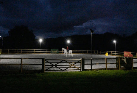 Equestrian Arenas and Indoor Schools