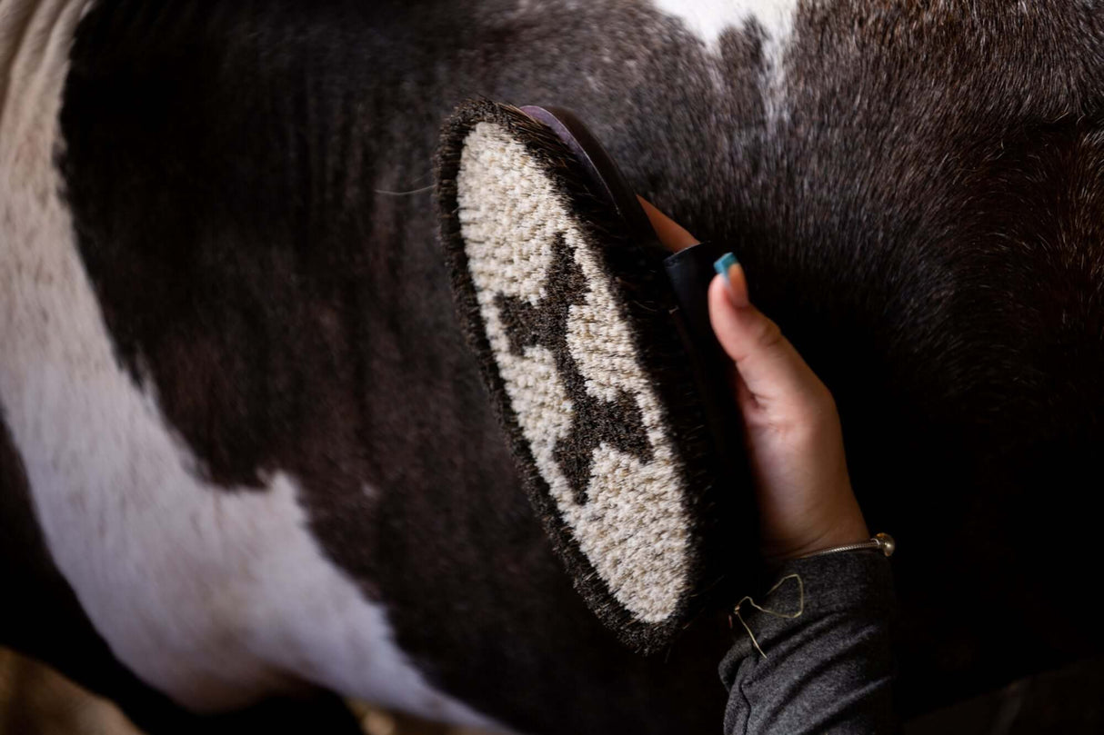 HAAS Brosse pour le corps Lipizzaner