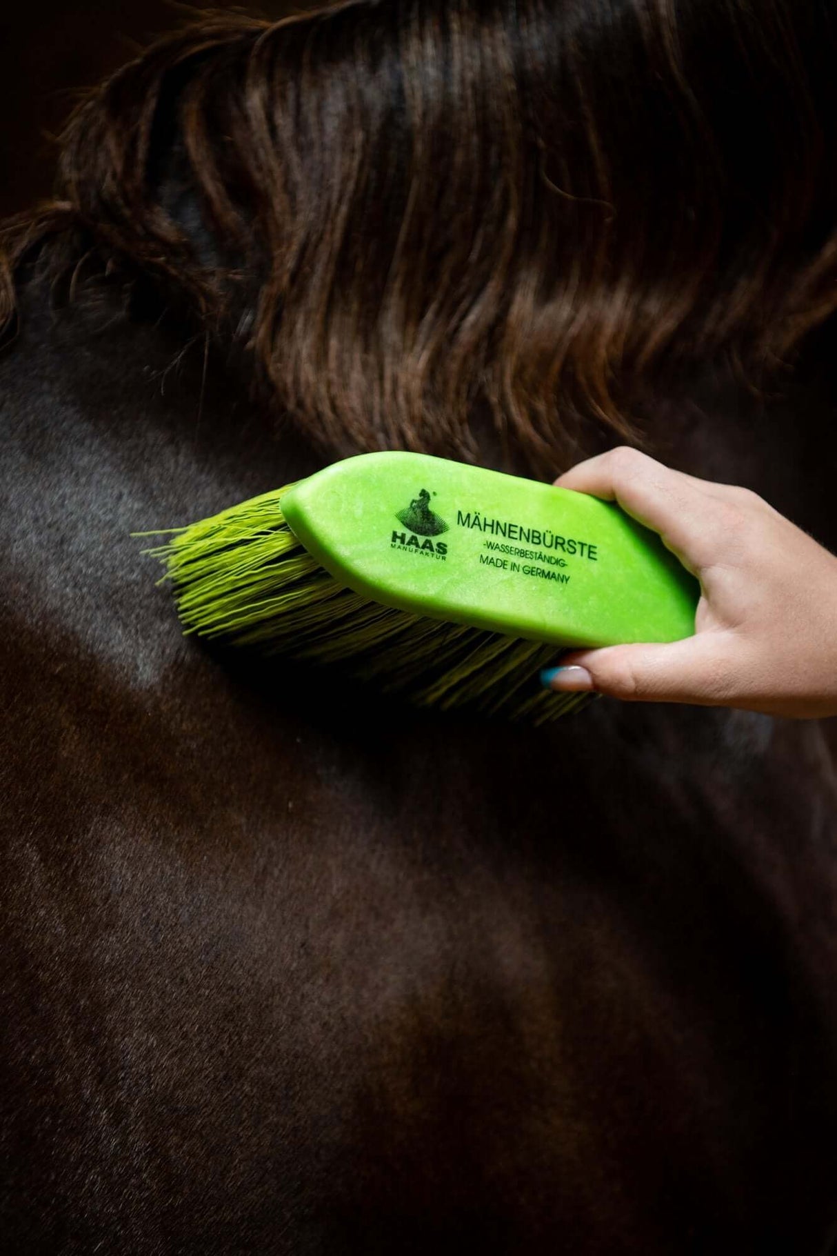 HAAS Brosse à crinière et à queue