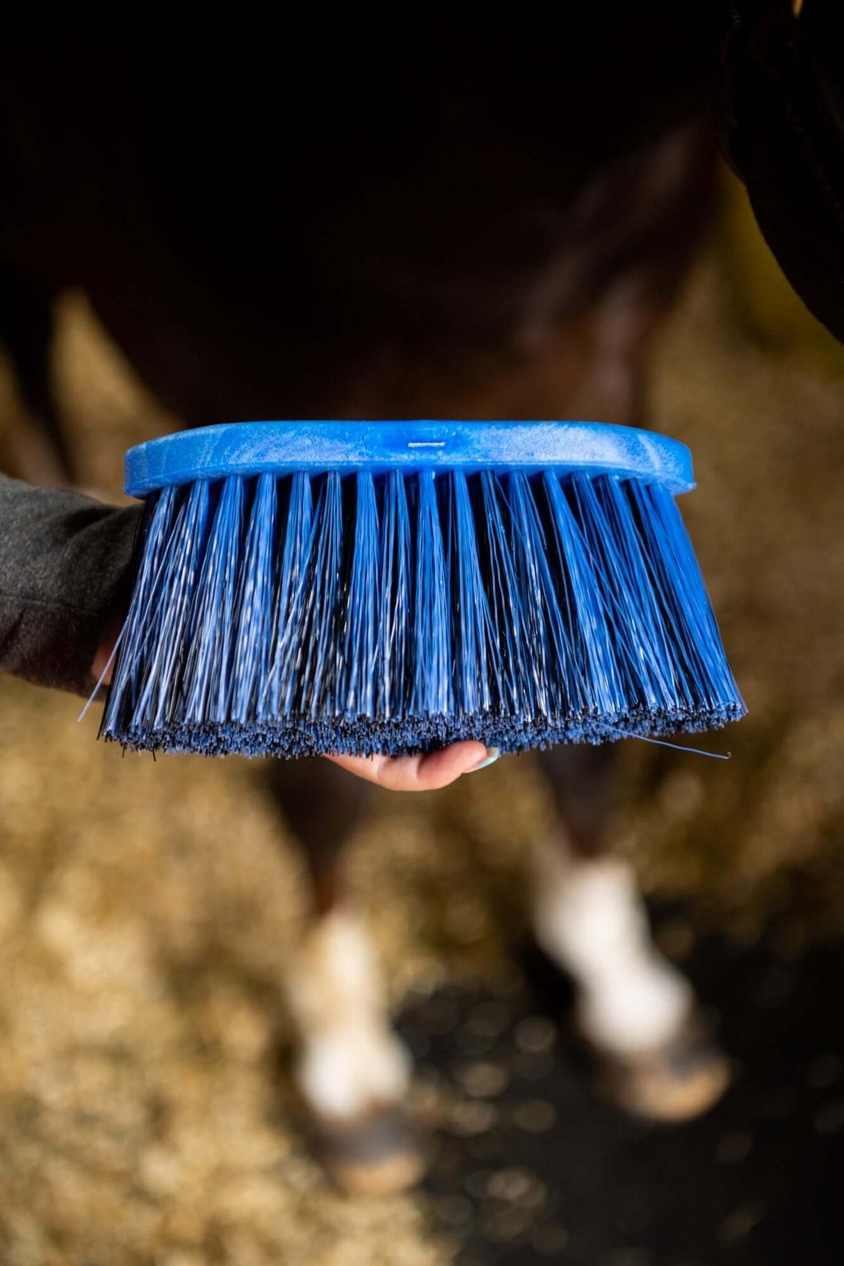 HAAS Mane & Tail Brush