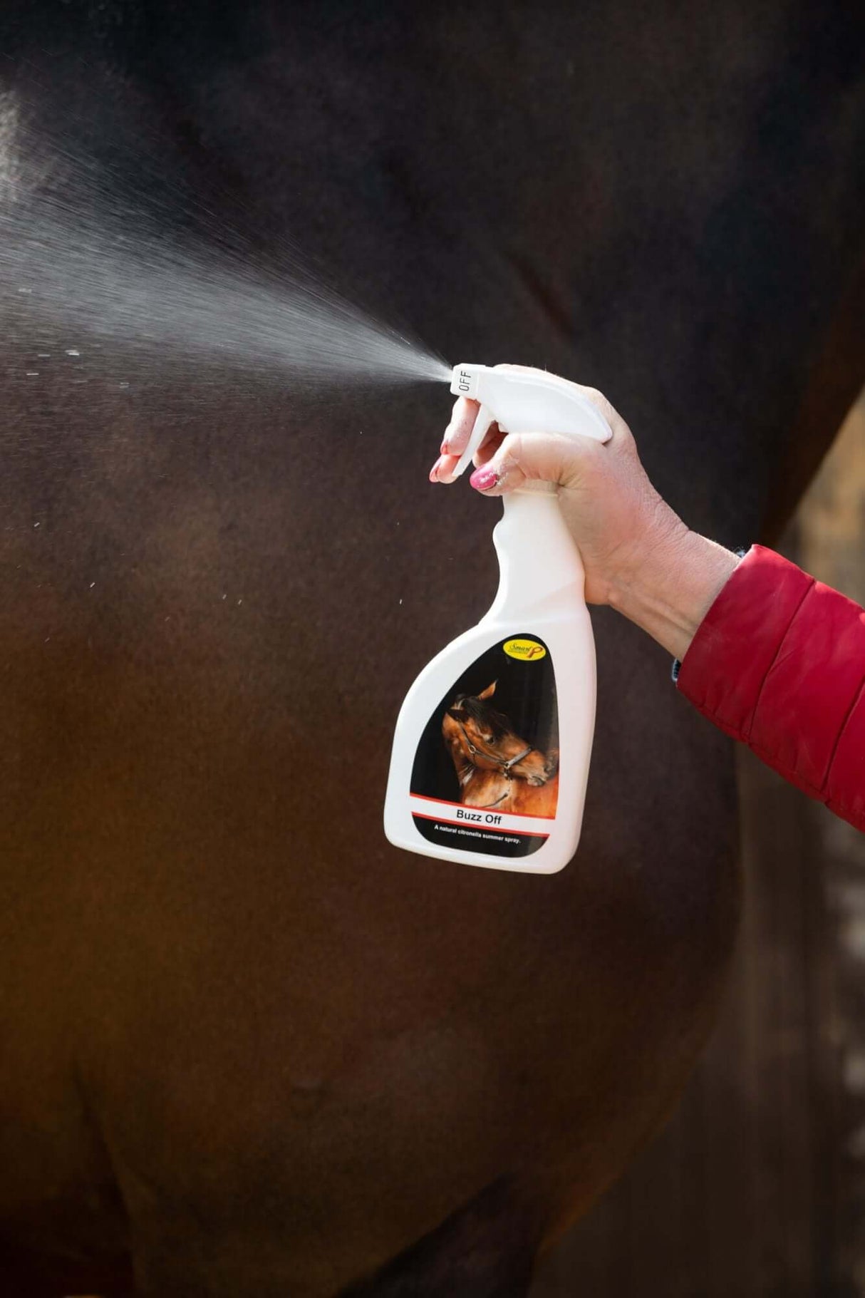 Smart Grooming Buzz Off Summer Spray