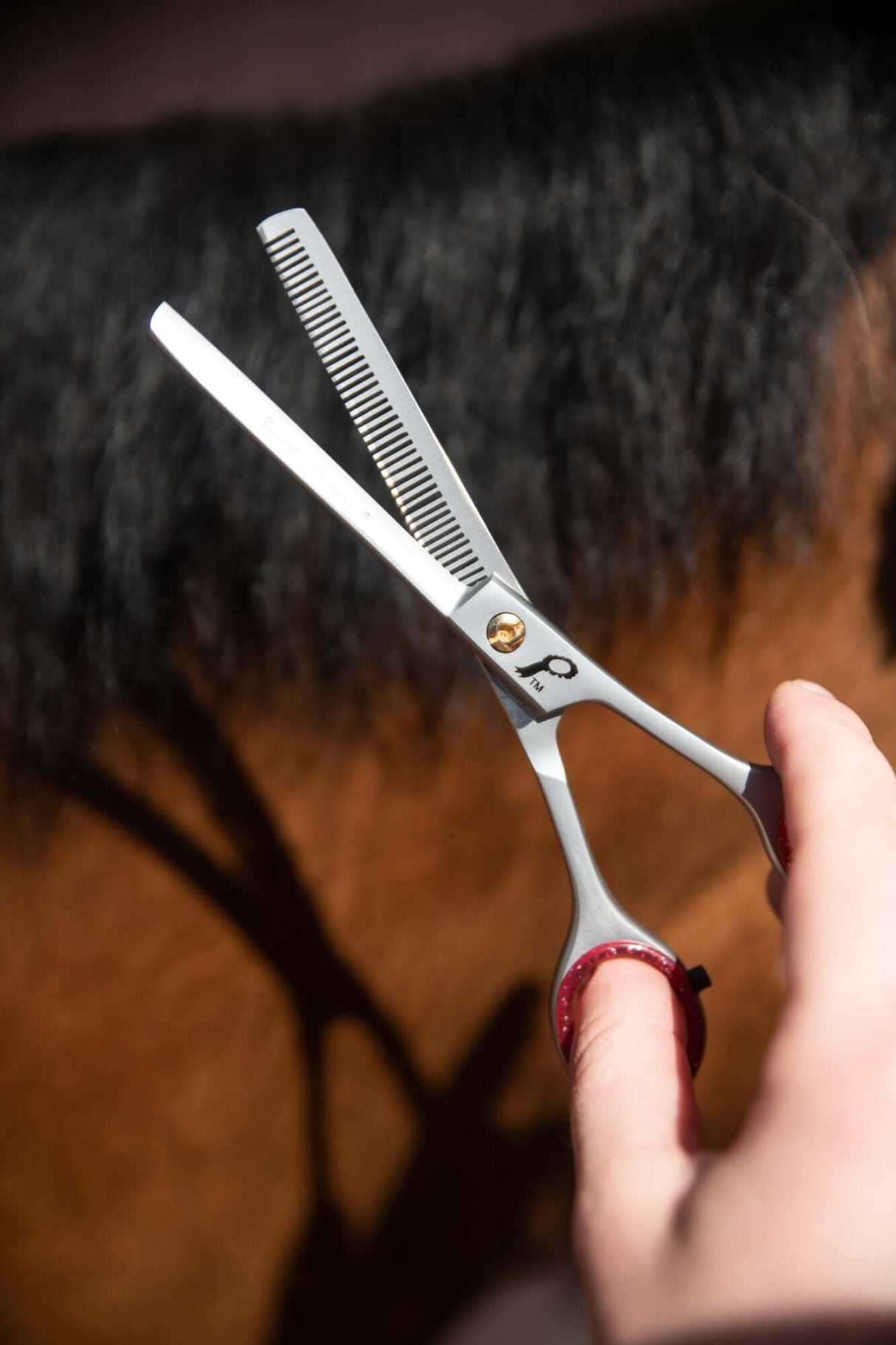 Ciseaux amincissants à une jambe de 6 po Smart Grooming