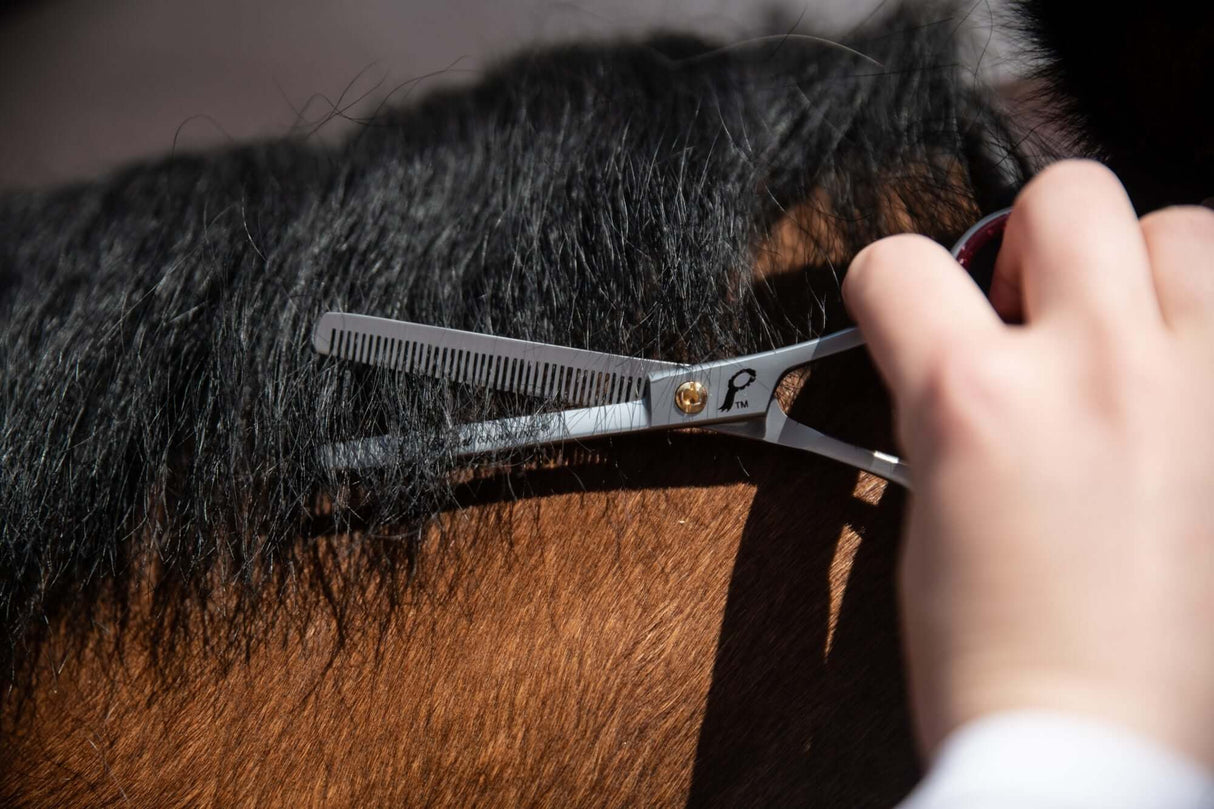 Ciseaux amincissants à une jambe de 6 po Smart Grooming