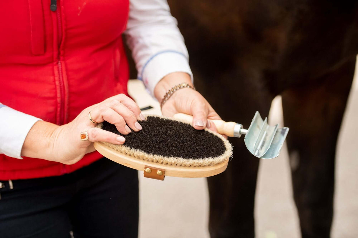 Brosse naturelle pour le corps Borstiq 