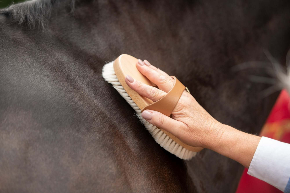 Brosse en poils de chèvre Borstiq