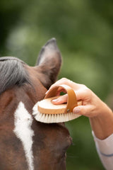 Brosse en poils de chèvre Borstiq