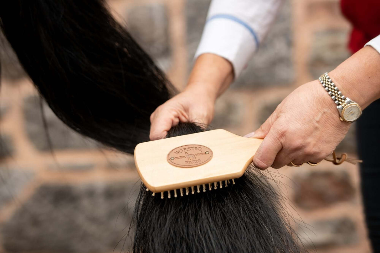 Brosses à crinière et à queue Borstiq