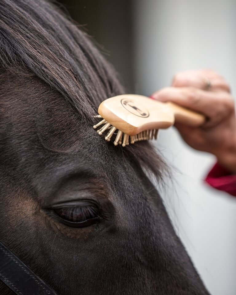 Borstiq Mähnen- und Schweifbürsten