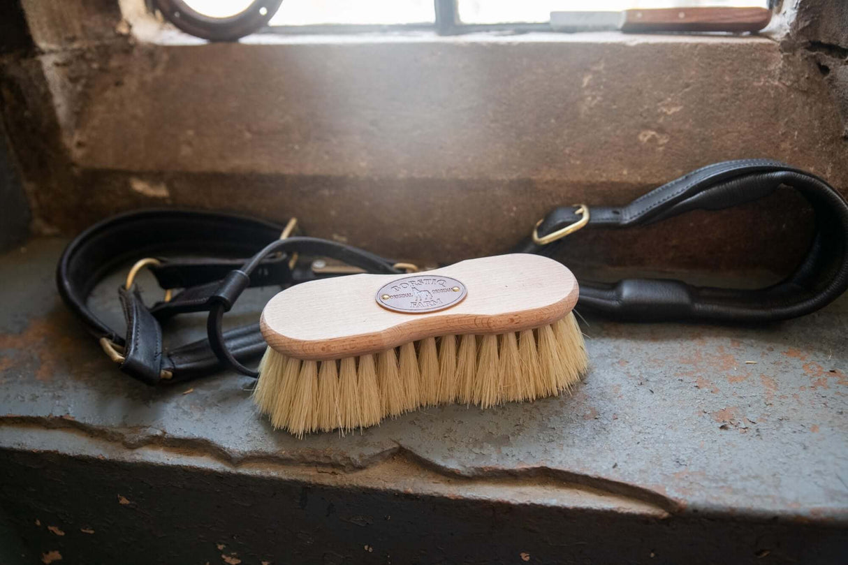 Brosse en fibre Mex en forme de Borstiq