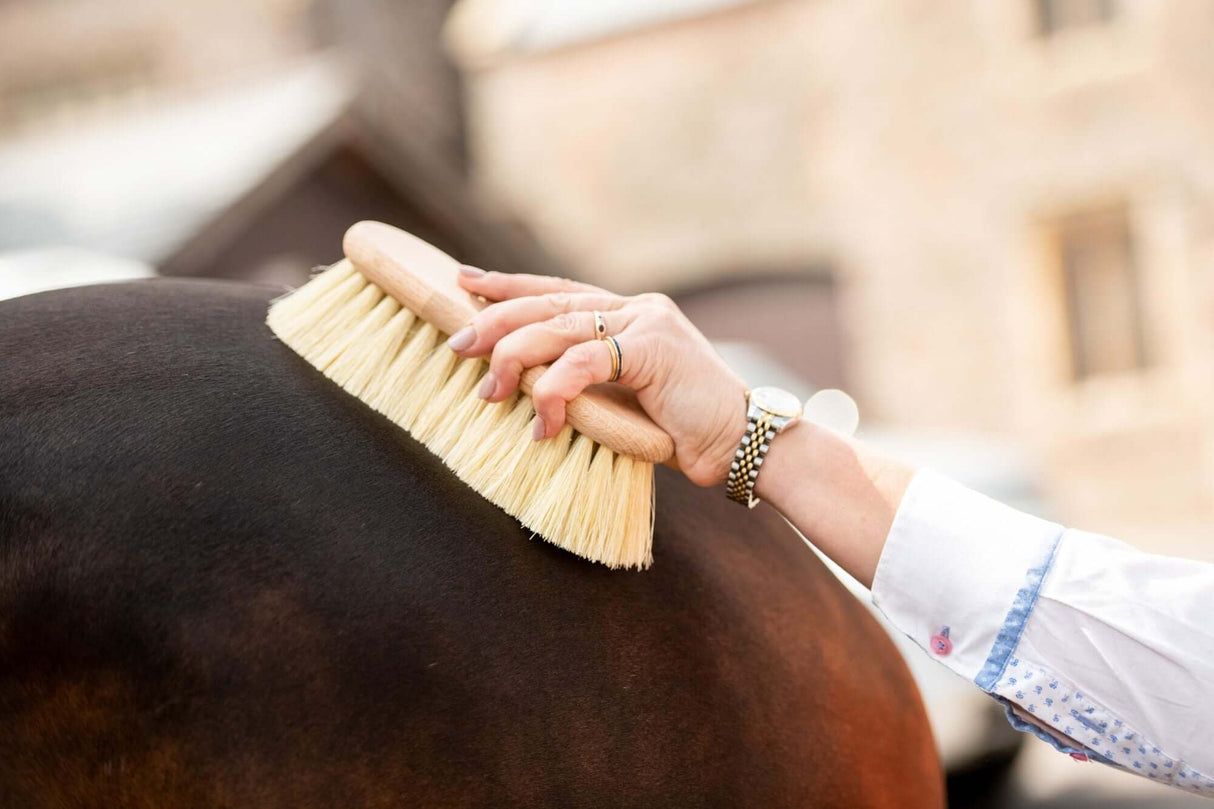 Brosse en fibre Mex en forme de Borstiq