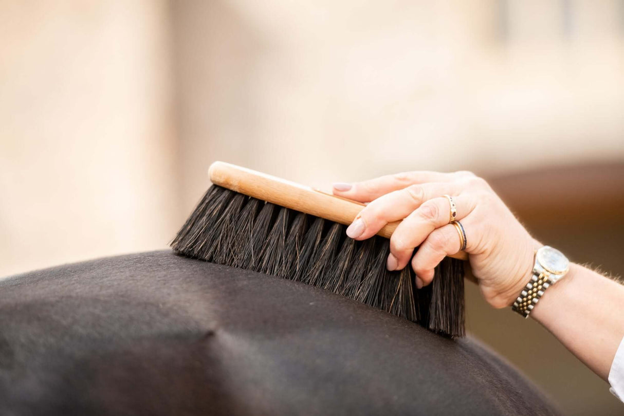 Borstiq Shaped Arenga Grooming Brush