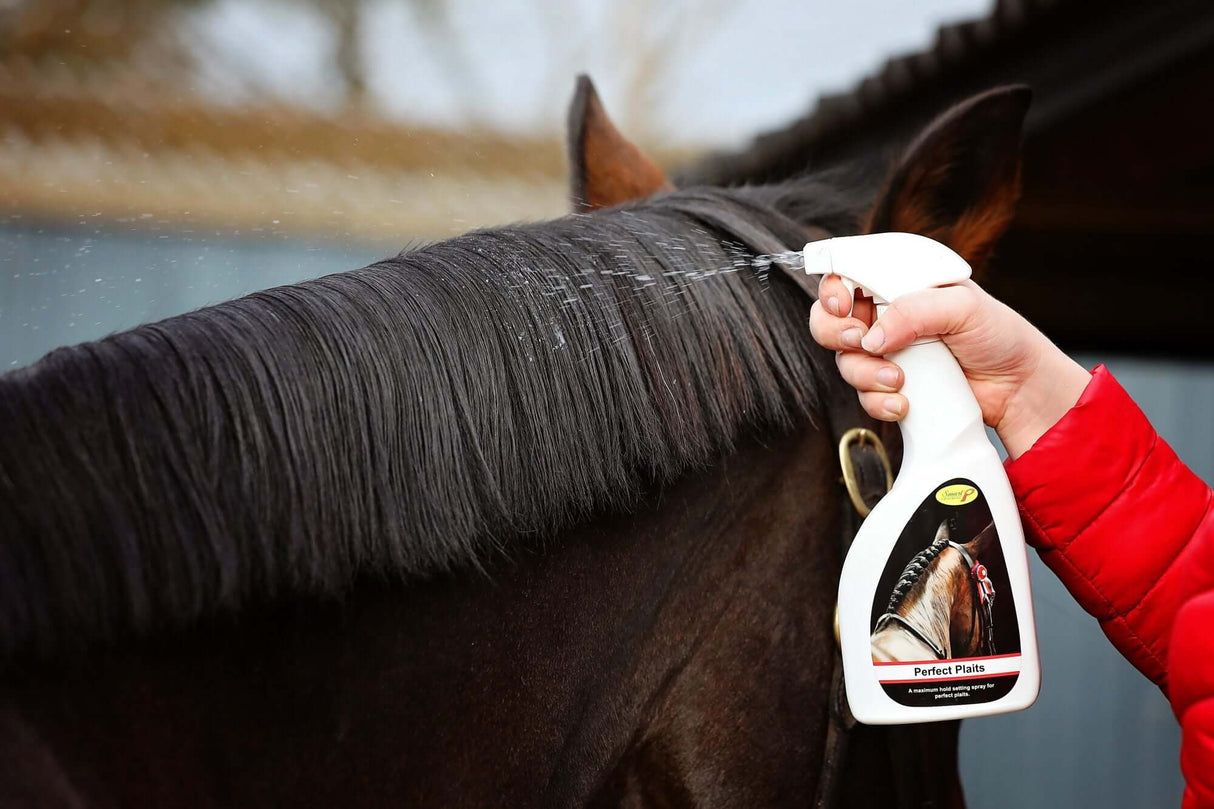 Smart Grooming Perfekter Plaits Spray