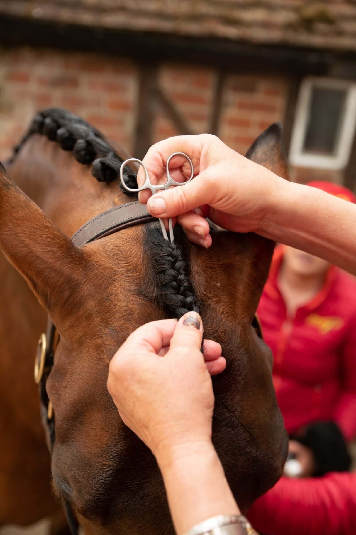 Smart Grooming Forelock Plaiting Grippers