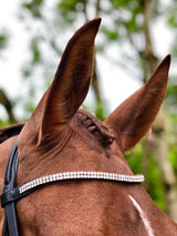 Smart Grooming Forelock Plaiting Grippers