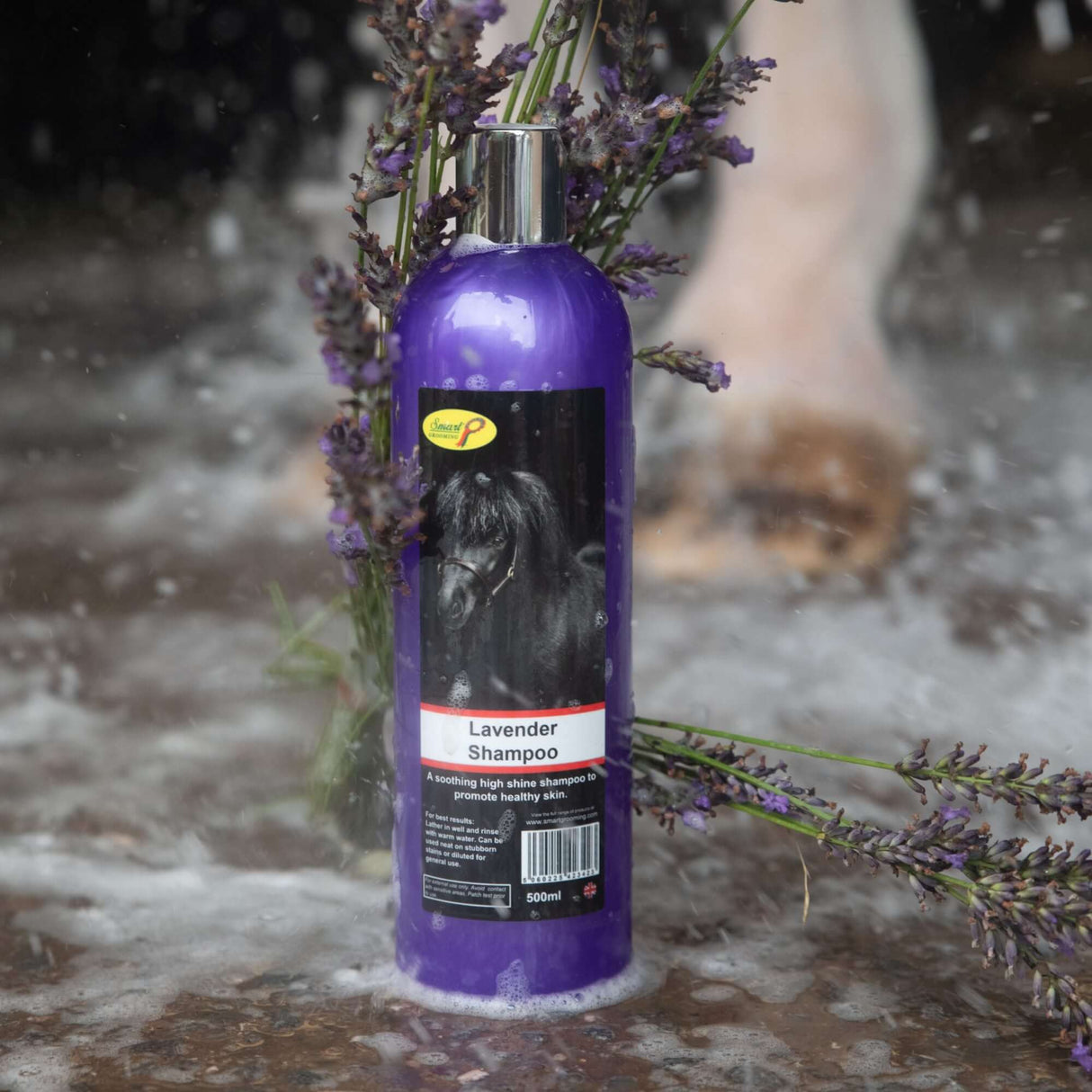 Smart Grooming Lavender Shampoo