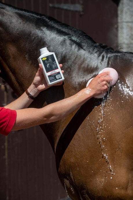 Smart Grooming Lavender Splosh Wash