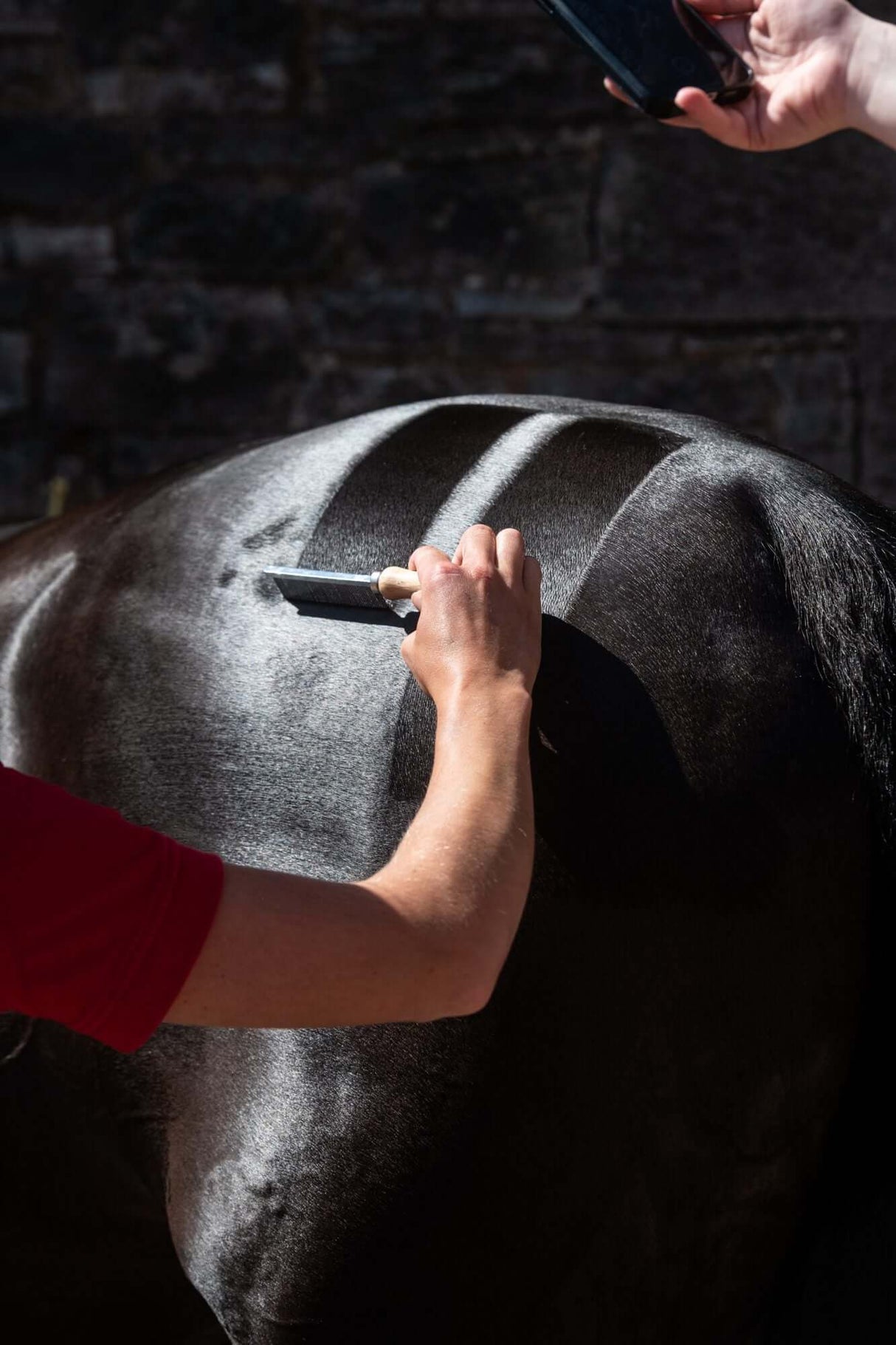 Smart Grooming Hunter Marking Comb