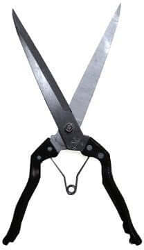 Shearing Scissor