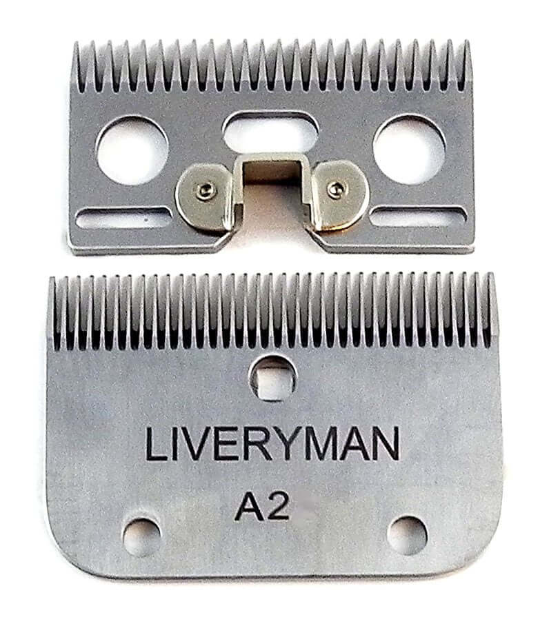 Liveryman Mittlere Klingen A2