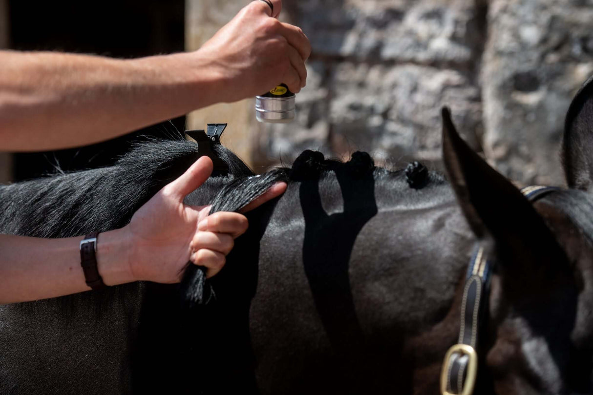 Cire à tresser Smart Grooming