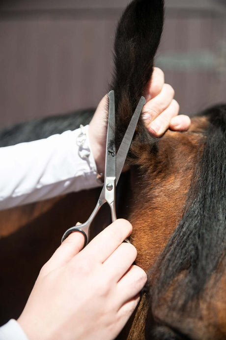 Ciseaux de sécurité Smart Grooming de 6 pi