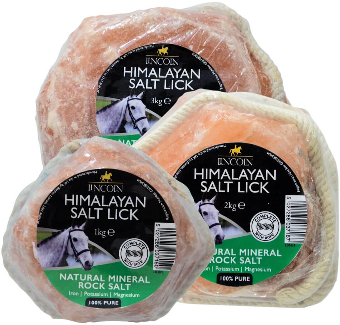 Himalayan Rock Salt Licks