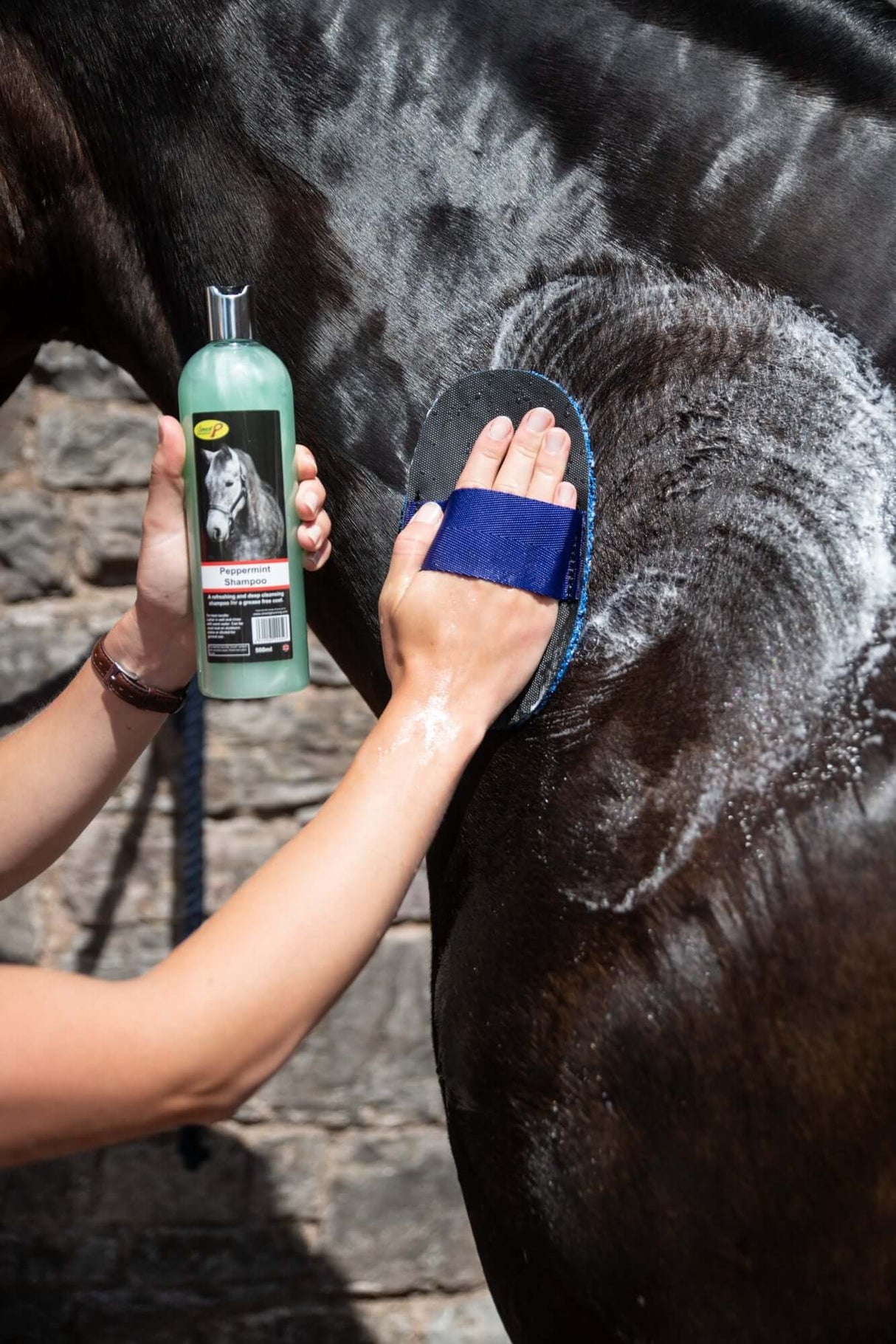 Shampooing à la menthe poivrée Smart Grooming