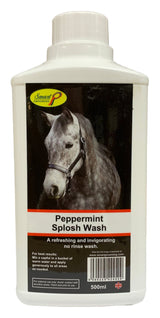 Smart Grooming Pfefferminz Splosh Wash