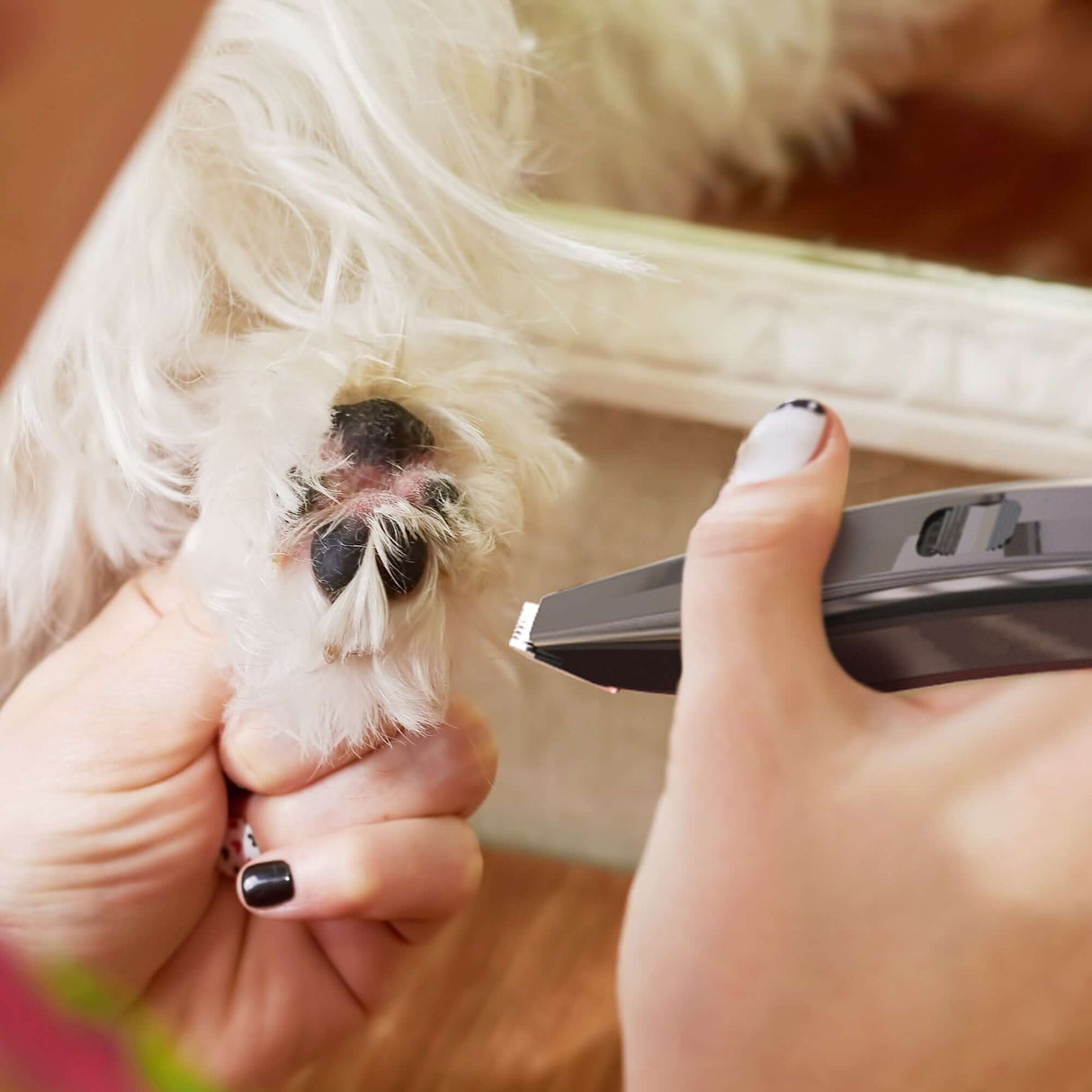 Rangement pour pattes d'animaux Wahl