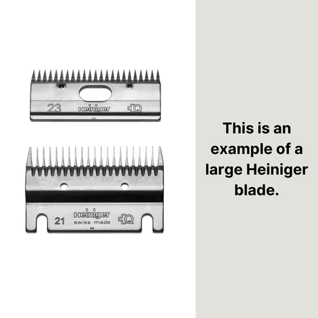 Clipper & Trimmer Blade Sharpening