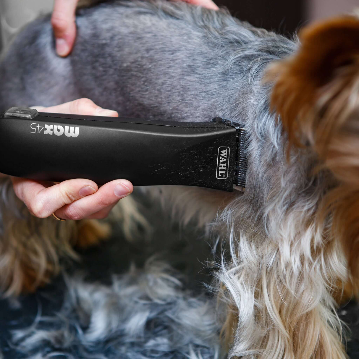 Wahl Max 45 Clipper