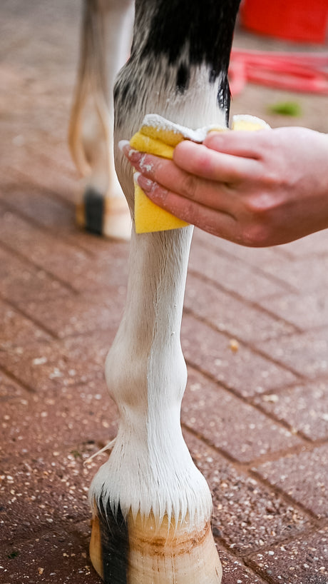 Smart Grooming Bein- und Körperaufheller