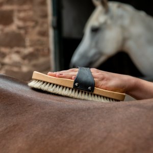 Horse Brushes and Combs - Clippersharp Ltd