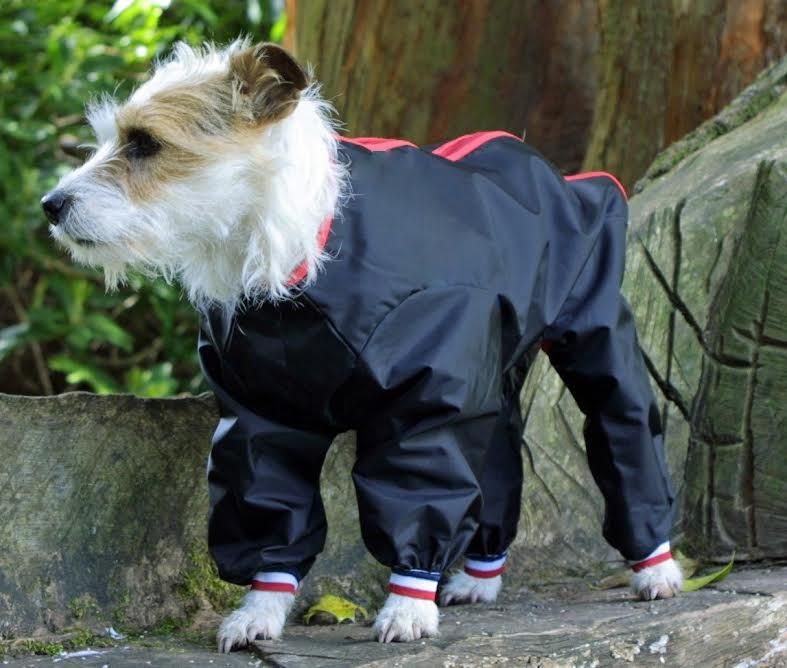Trixie Vaasa Waterproof Trouser Suit Dog Coat With Legs Grey  Hills Pet  Shop